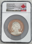 The Nick Gromicko Collection of Coins and Medals Depicting Beautiful Women