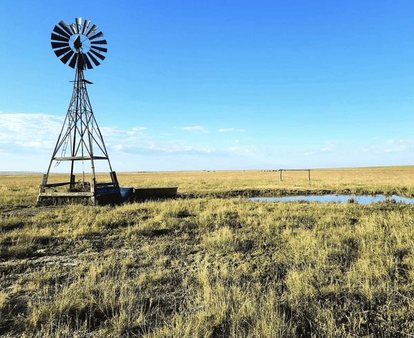 198-Acre Colorado Ranch for Sale - owner will finance