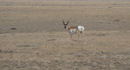 111.21-Acre Wytex Ranch in Rock River, WY