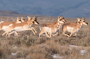 111.21-Acre Wytex Ranch in Rock River, WY
