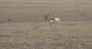 35.10-Acre Wytex Ranch in Rock River, Wyoming