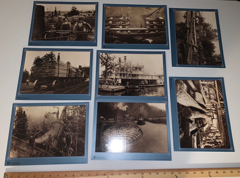 Pack of 8 Large, Historic Logging Photos